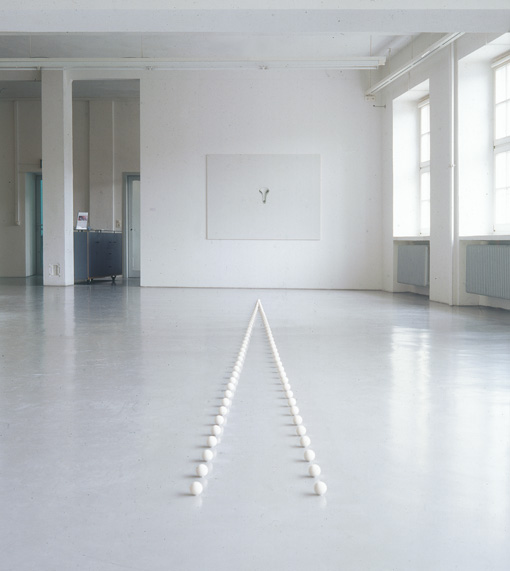 Realspiegelung - Die Geissel