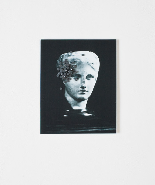 Horst Müller - Der Schwarm - Foto auf Stahlblech und Magnete